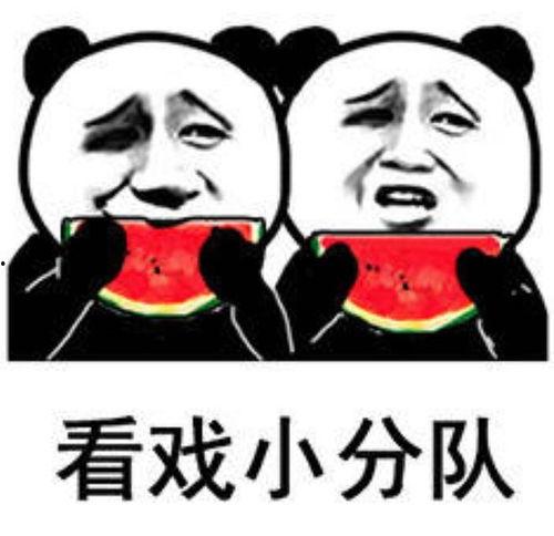 吃瓜表情包是什么意思,揭秘网络社交中的“围观”文化现象