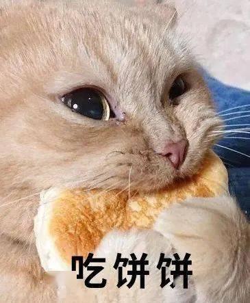 娱乐吃瓜君二豆猫,揭秘娱乐圈那些不为人知的幕后故事